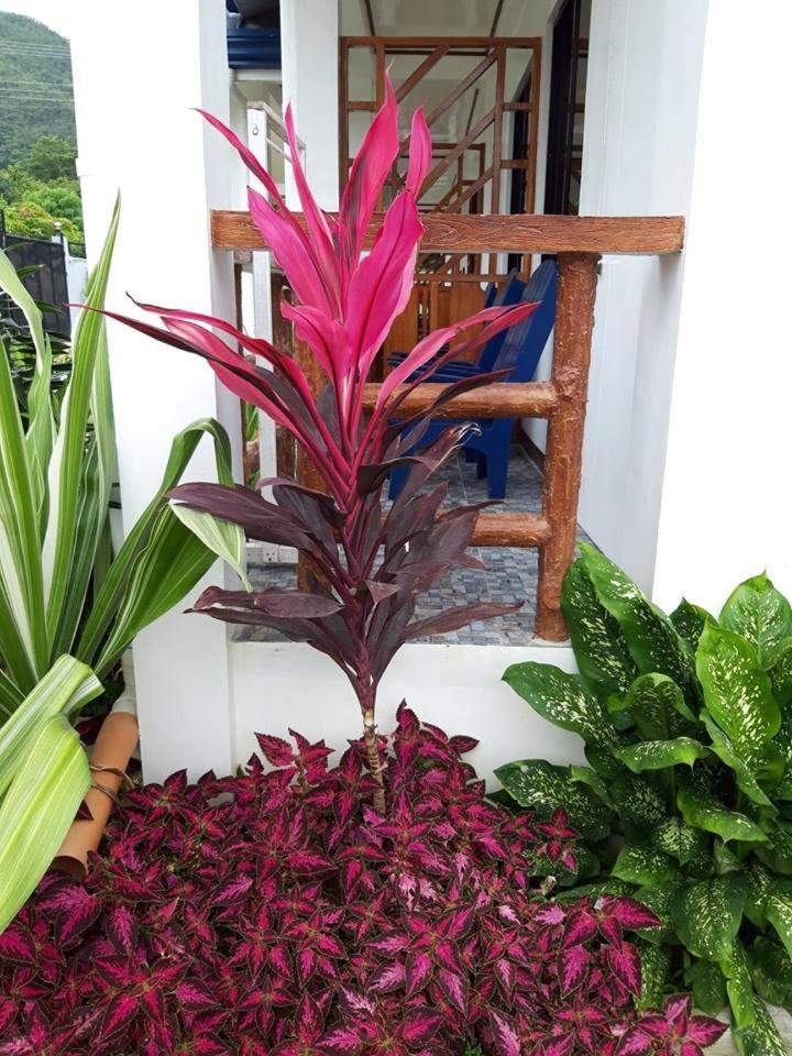 Bella Vita Guest House Coron Exterior photo